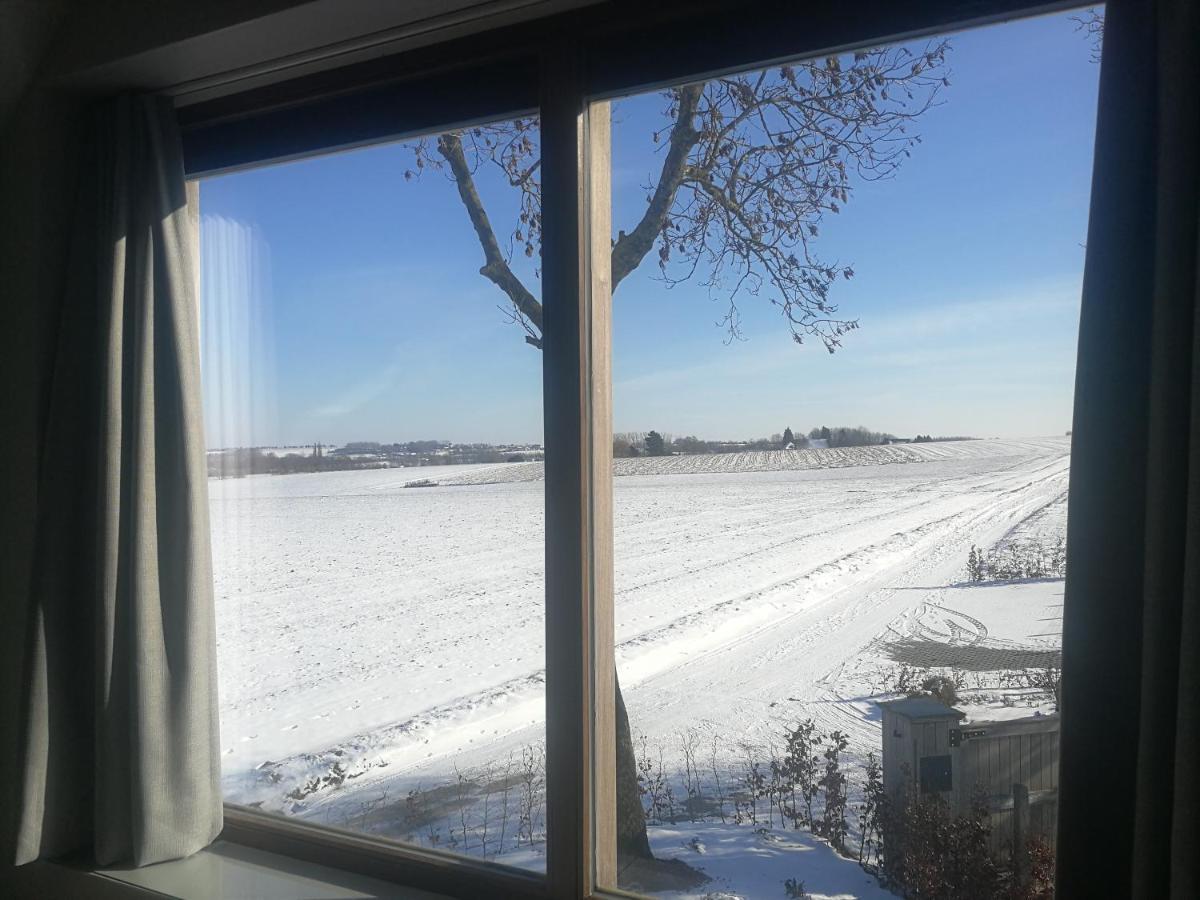 Meulecauter Oudenaarde